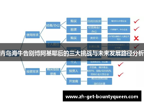青岛海牛告别博阿基耶后的三大挑战与未来发展路径分析