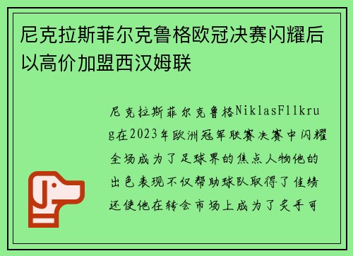 尼克拉斯菲尔克鲁格欧冠决赛闪耀后以高价加盟西汉姆联 尼克拉斯菲尔克鲁格欧冠决赛闪耀后以高价加盟西汉姆联